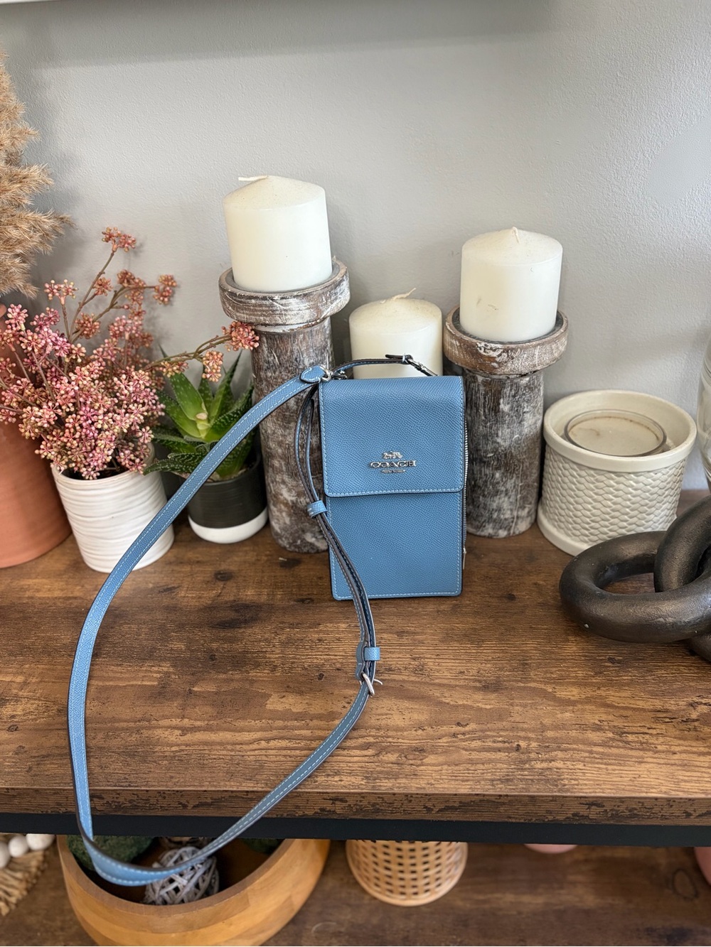 Coach north south phone crossbody